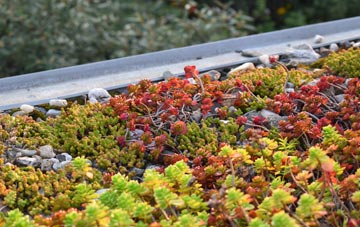 the cost of Norton Subcourse green roof installation