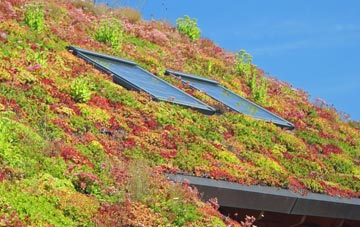 Norton Subcourse living roof systems