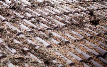 Norton Subcourse roof cleaning companies