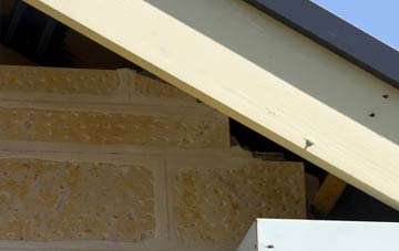 soffit repair Norton Subcourse