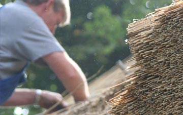 professional Norton Subcourse thatchers