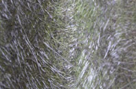 Norton Subcourse fibreglass roof work